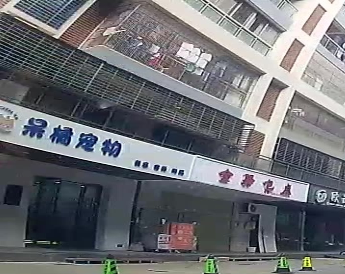 呆橘宠物(鸿泰华府店)