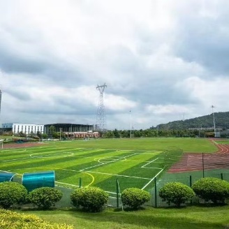 株洲市体育中心足球公园