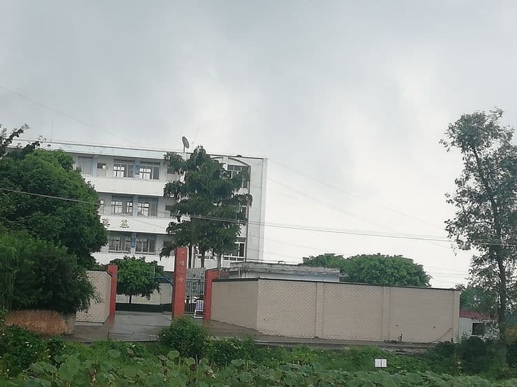 江安县铁清镇华府小学