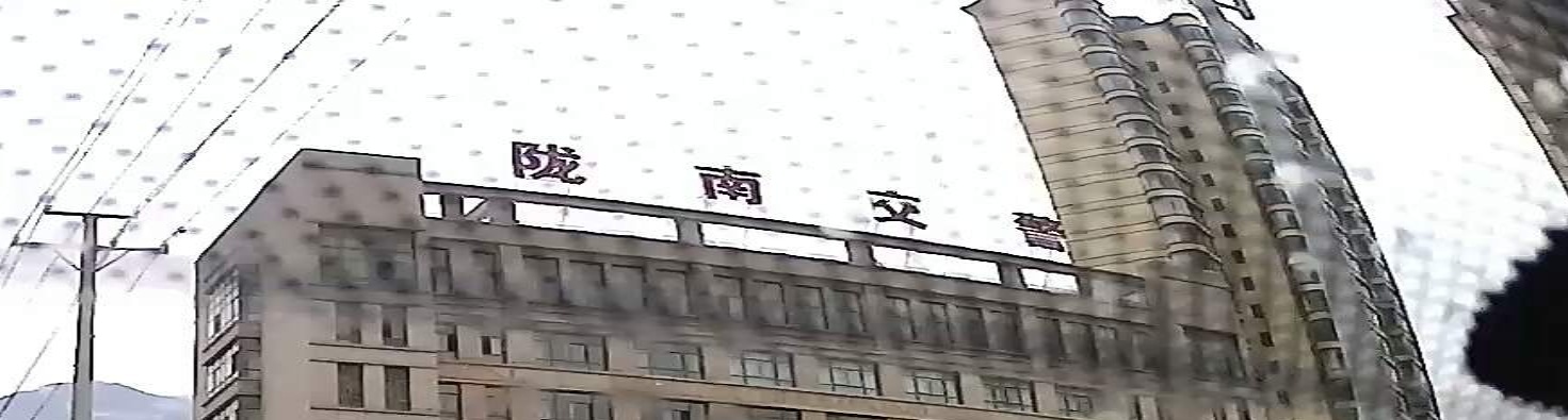 陇南市公安局交通警察支队