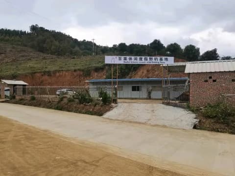 百莱休闲度假野钓基地