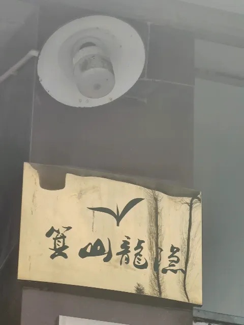 箕山龙隐茶叶