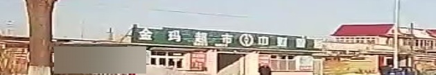 金玛超市(李沟村店)