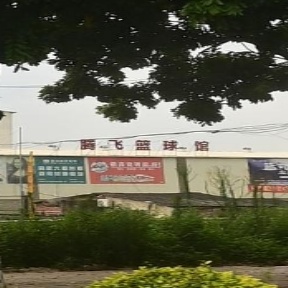 腾飞篮球馆