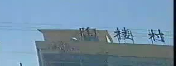 陶楼村
