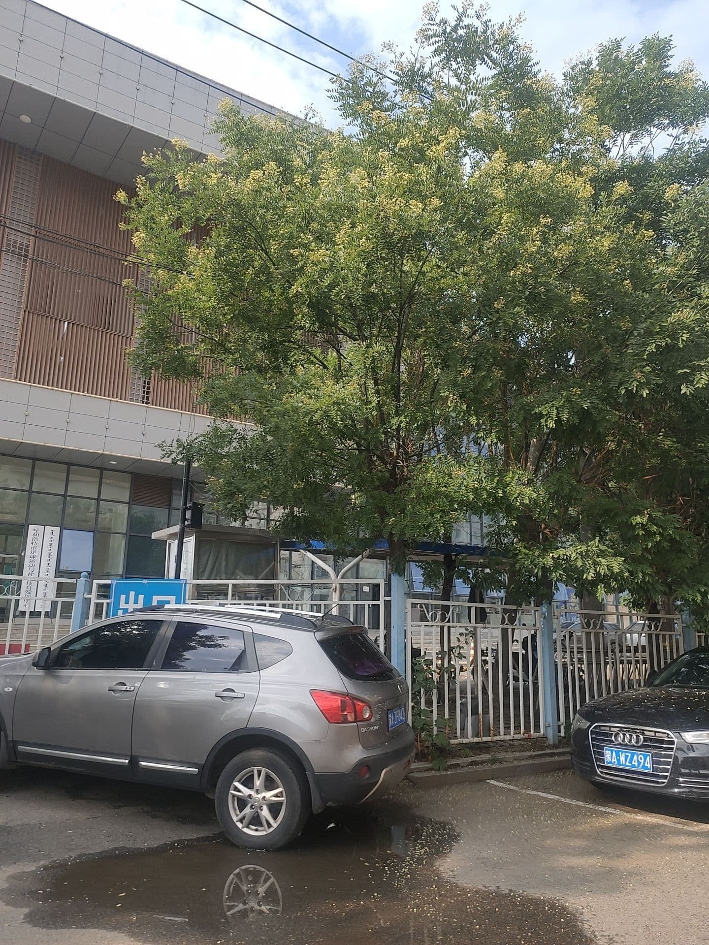 呼和浩特市足球运动与社会体育发展中心