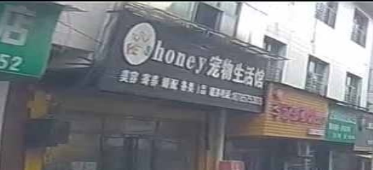 honey宠物生活馆