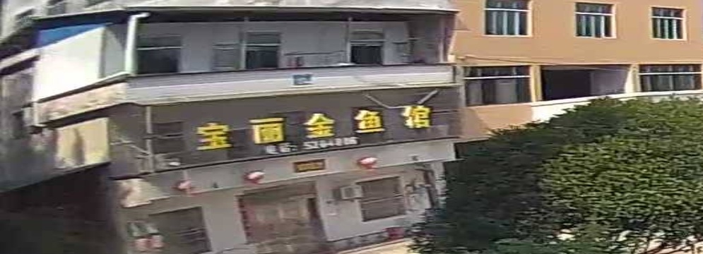 宝丽金鱼馆