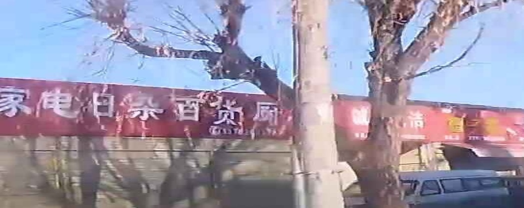 蓬小纯家电日杂百货厨具