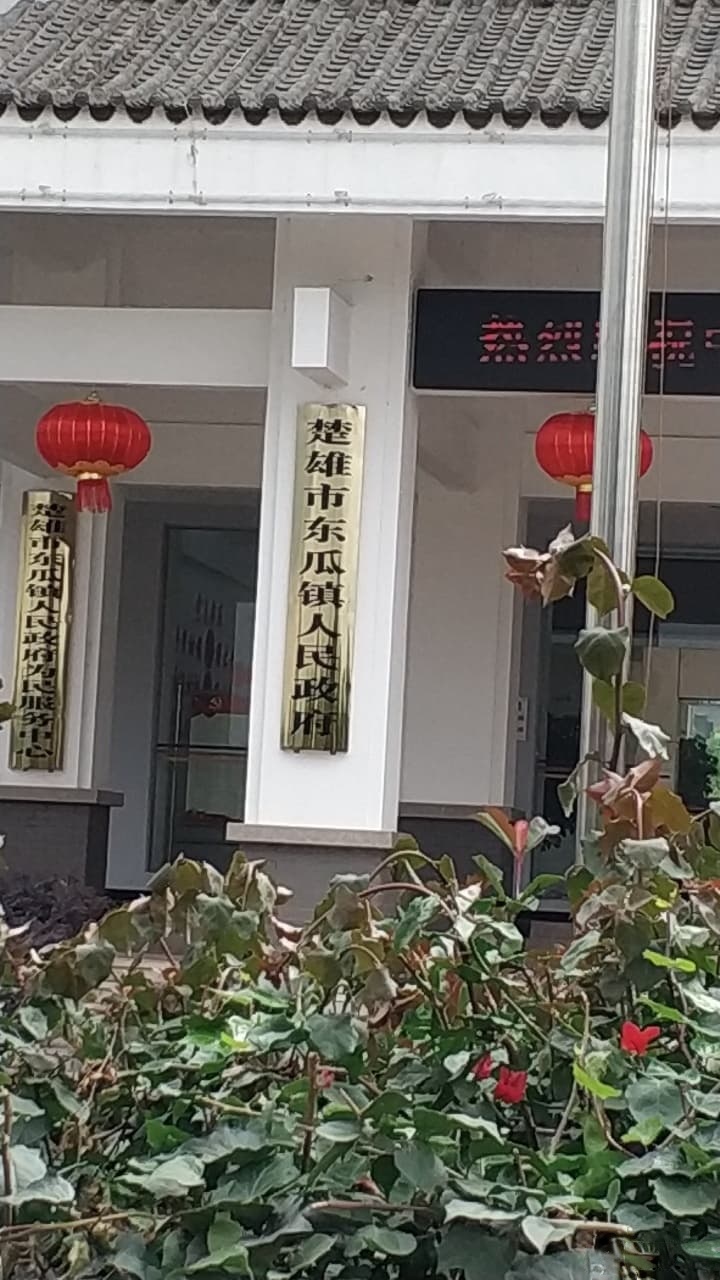 东瓜镇人民政府