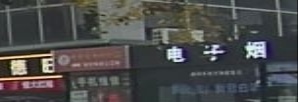 电子园