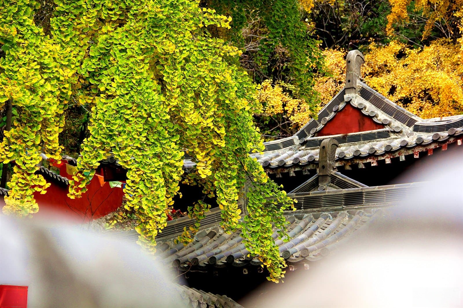 山东灵泉山旅游风景区