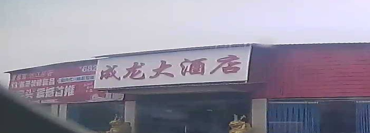 成龙大酒店