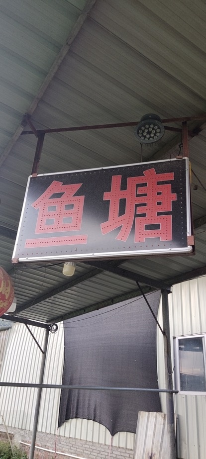 鱼塘农家菜