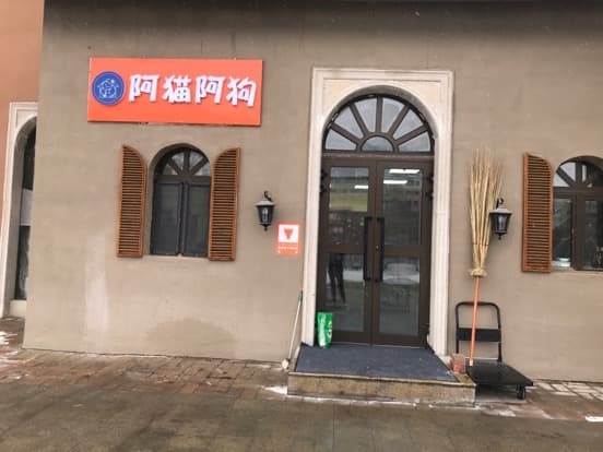 阿猫阿狗宠物店