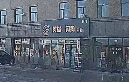 阿猫阿狗宠物店