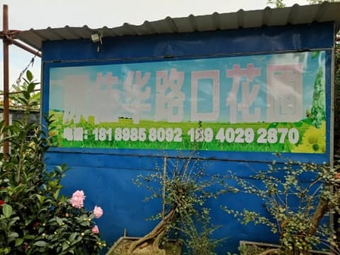 原佳华路口花圃