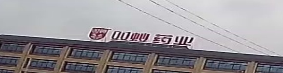 双蚁药业