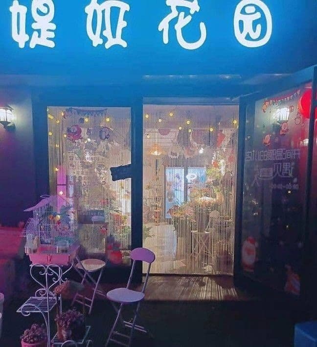 媞娅花园