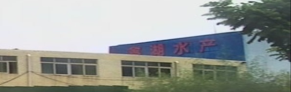 鑫湖水产批发市场