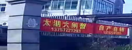 太湖大闸蟹自产自销