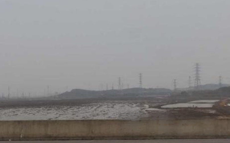 竹子湖