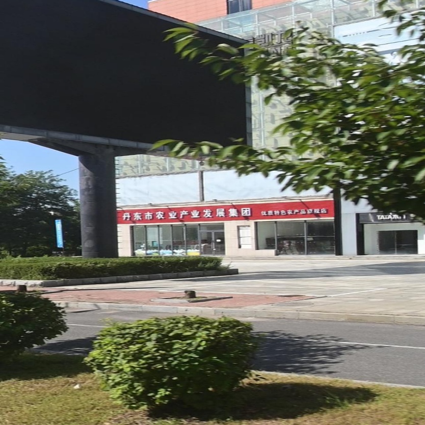 丹东市农业产业发展集团有限责任公司