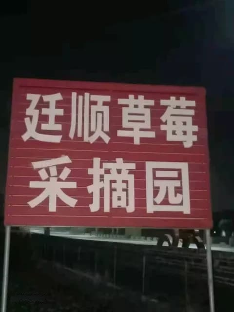 廷顺草莓采摘园(独竹园)