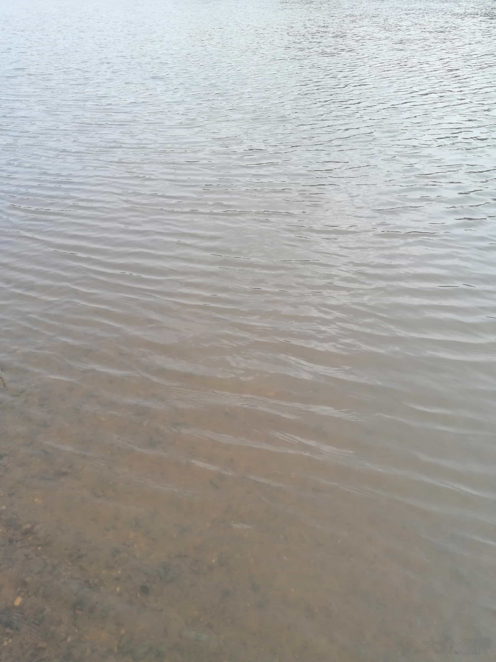 粗石竹海银滩