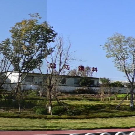 牌坊饲料