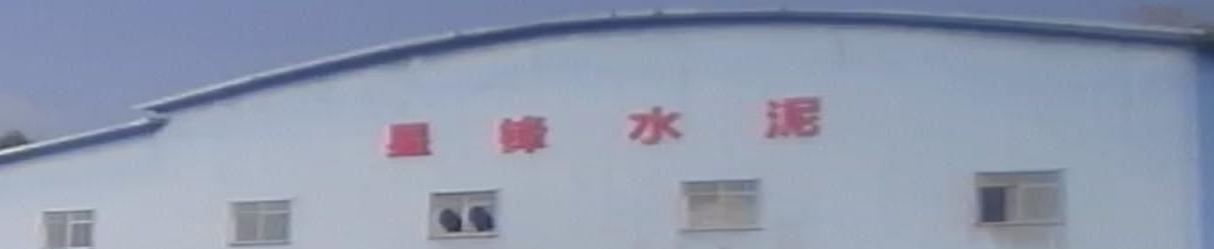 廉江市星锋水泥厂