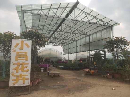 小吕花鸟