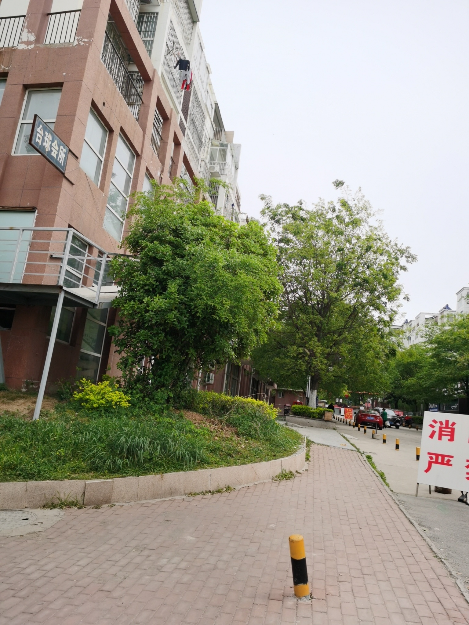 台球汇所