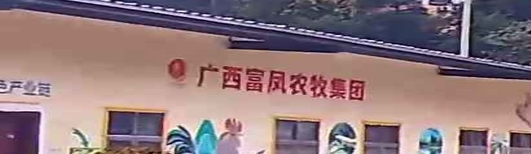 广西富凤农牧集团