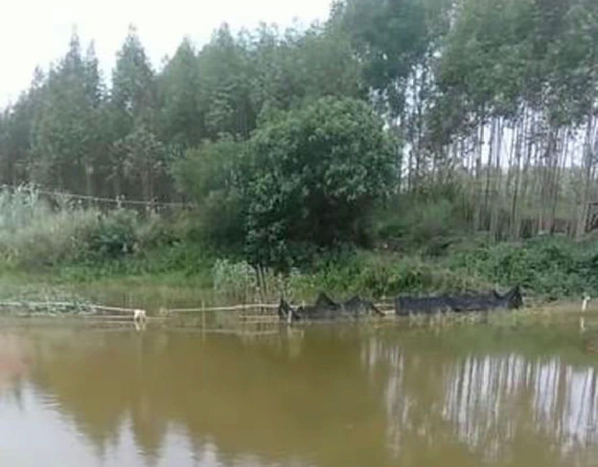 平吉白鹤洞