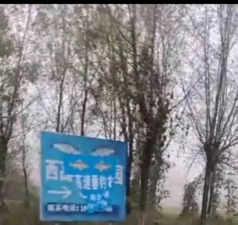 西高速垂钓园