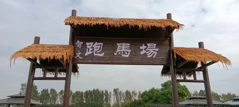 建业电智文跑马场