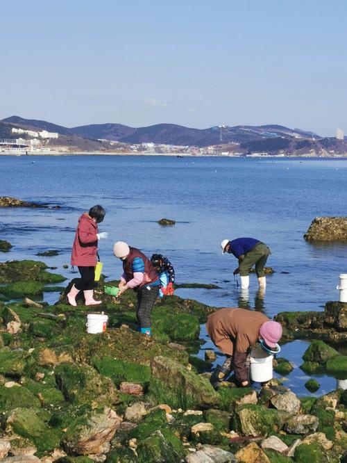 神州半岛赶海基地