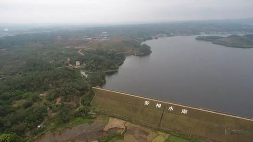 茶根水库