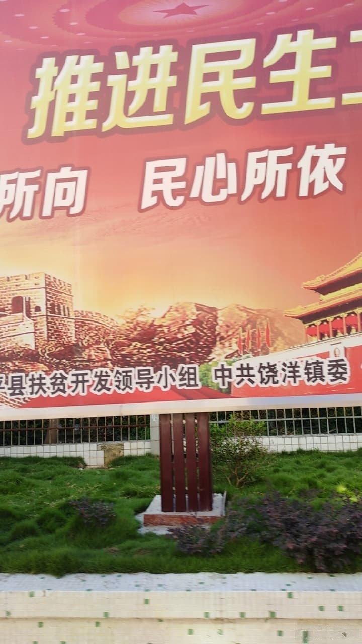 中共饶平县饶洋镇委员会
