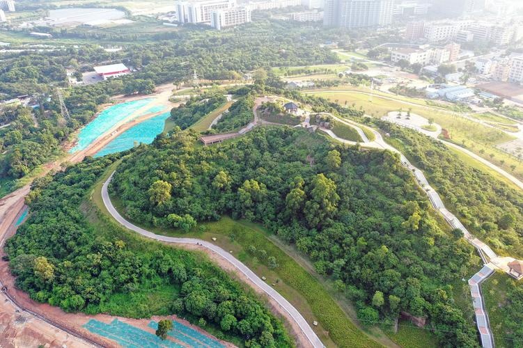 石岩湖湿地碧道