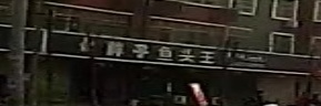 胖子鱼头王
