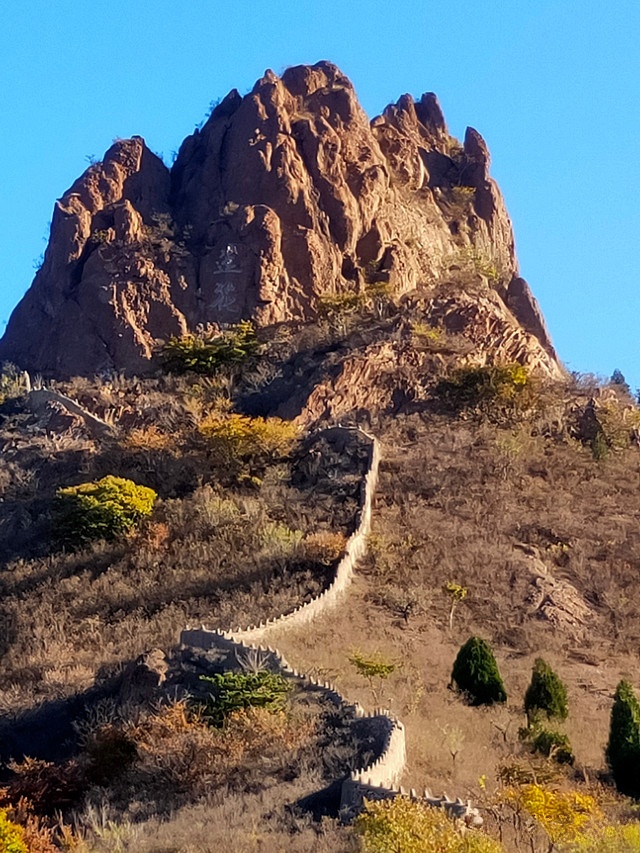 茶山村