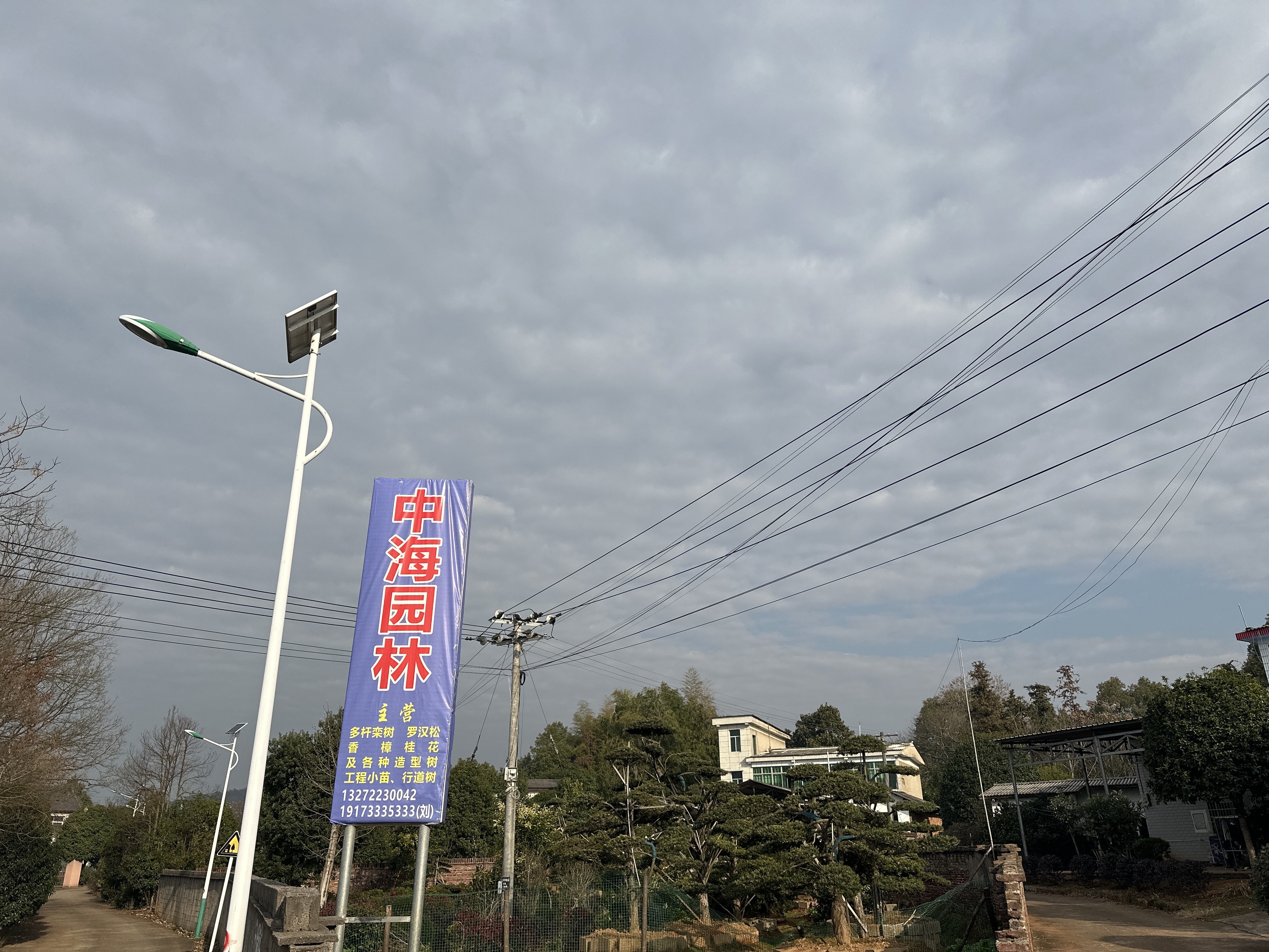 中海园林