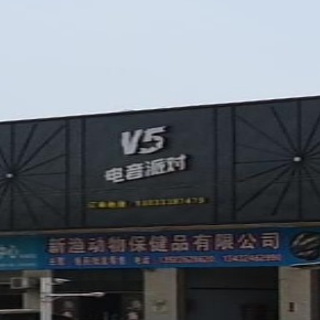 V5电音派对