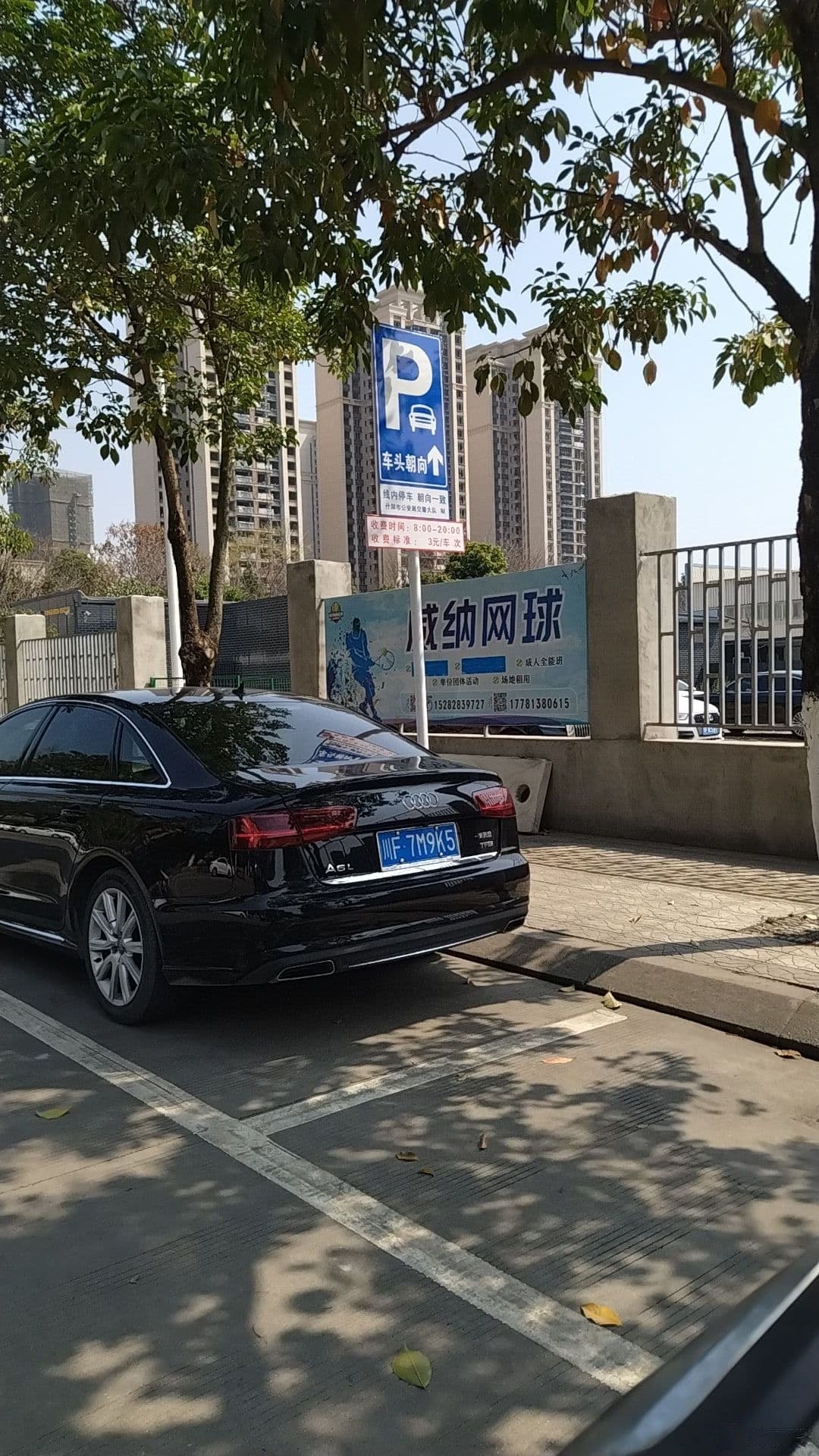 德阳·威纳网球